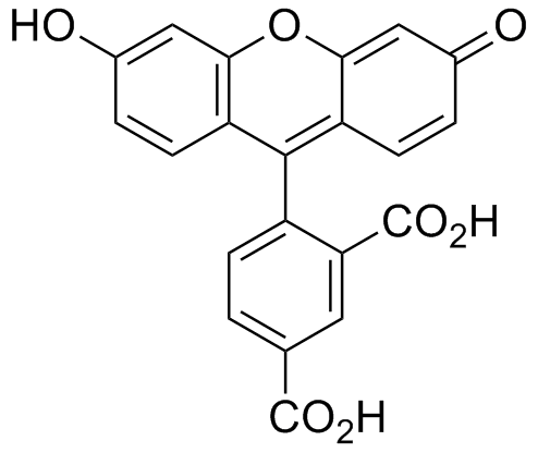 5-FAM