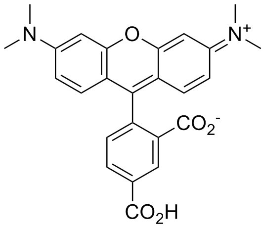 5-TAMRA